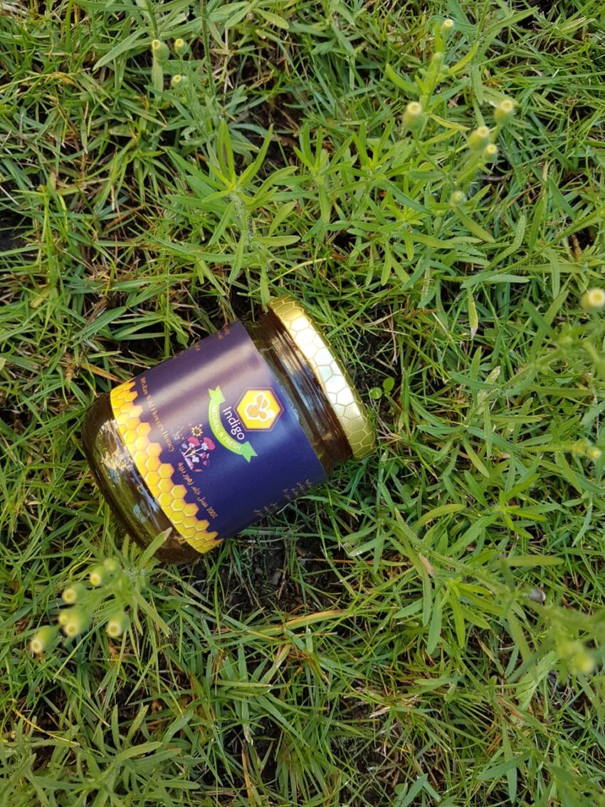 Wild Flower Honey - 500 gm. Approx.